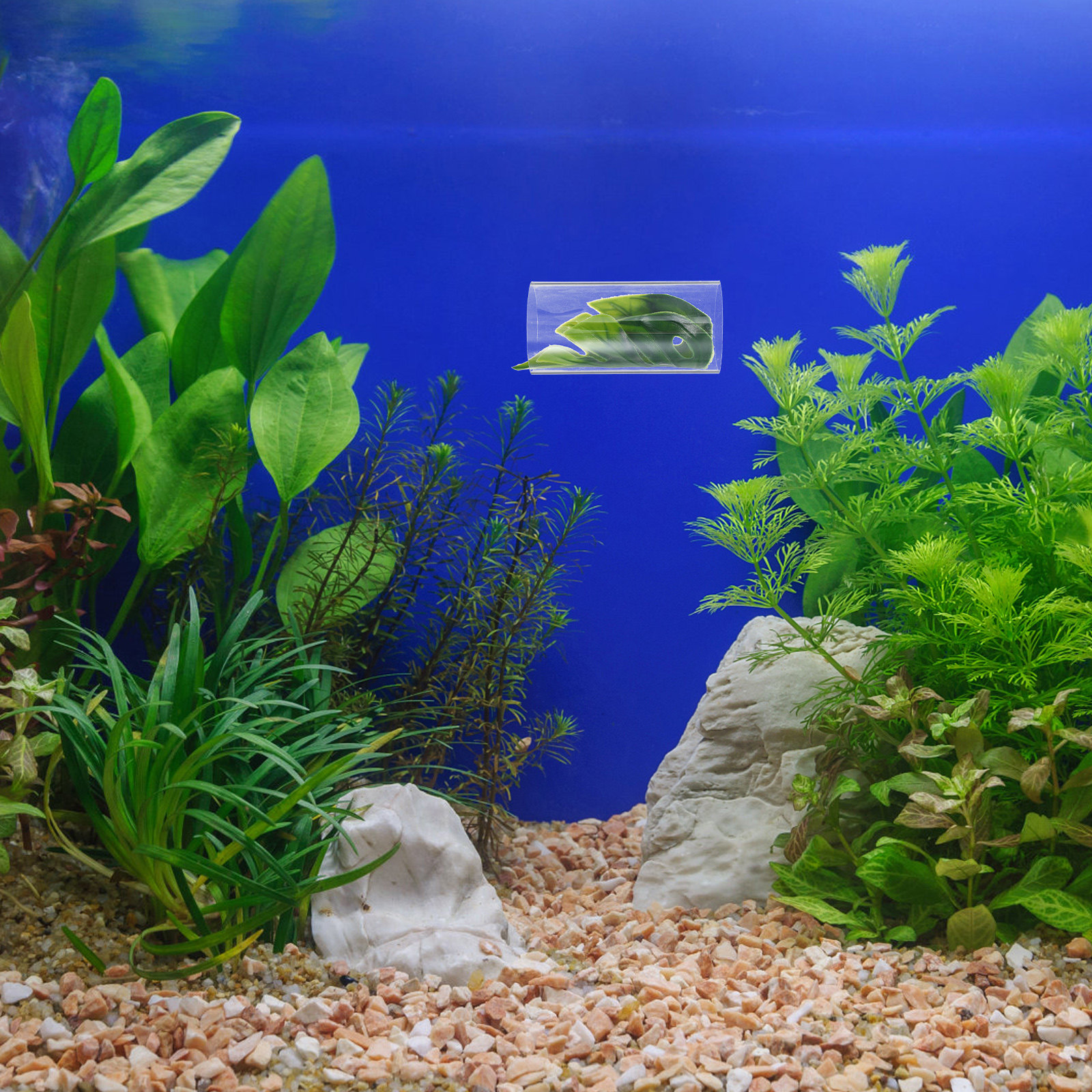 Transparent Betta Fish Tunnel  - Fish Aquarium Youtube Relaxing recensione e prezzo
