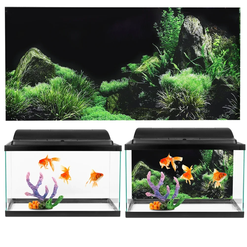 Background for Aquarium 3d Sti - Aquarium Fish Poster recensione e prezzo