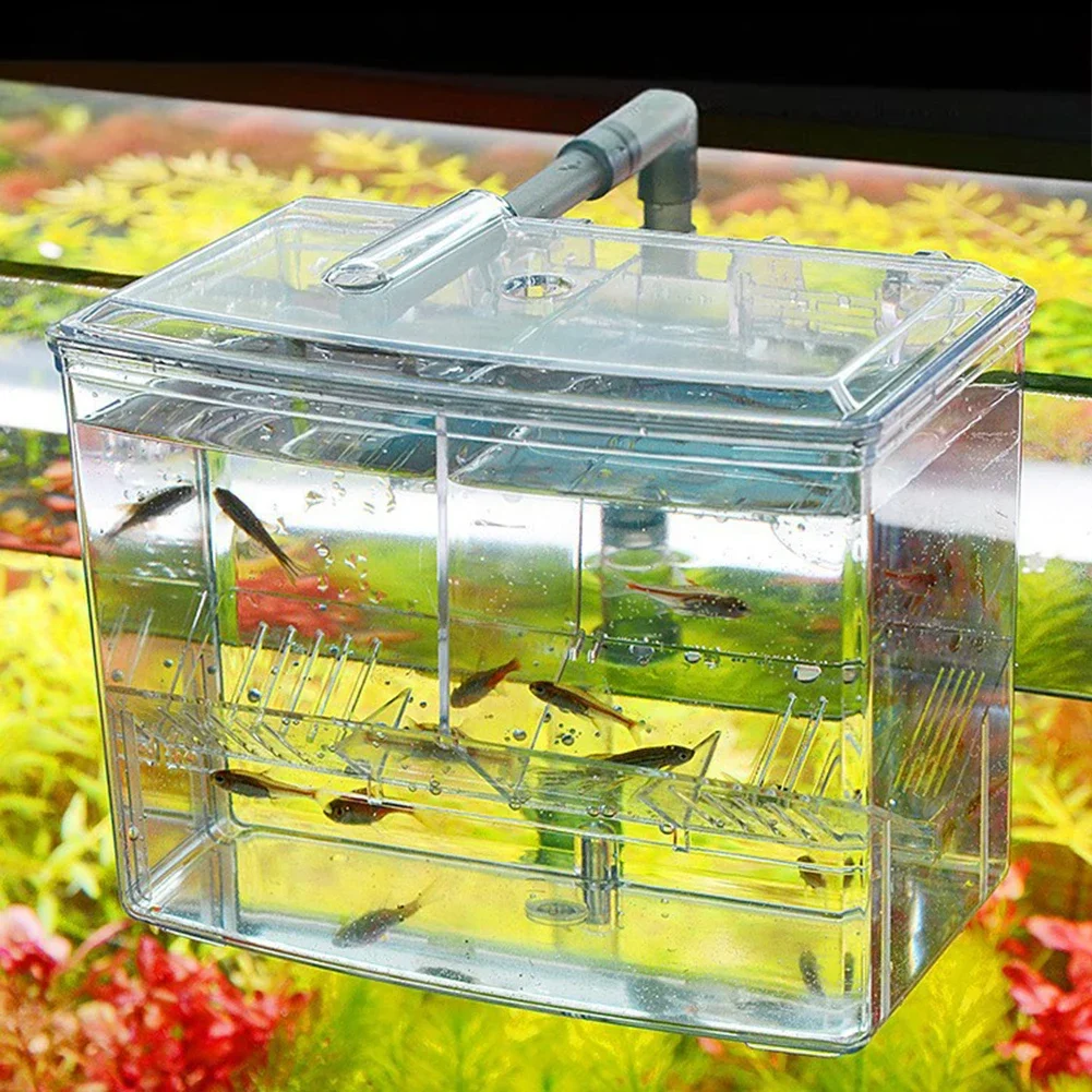 Aquarium Fish Breeding Box for - Aquarium Fish Jar recensione e prezzo