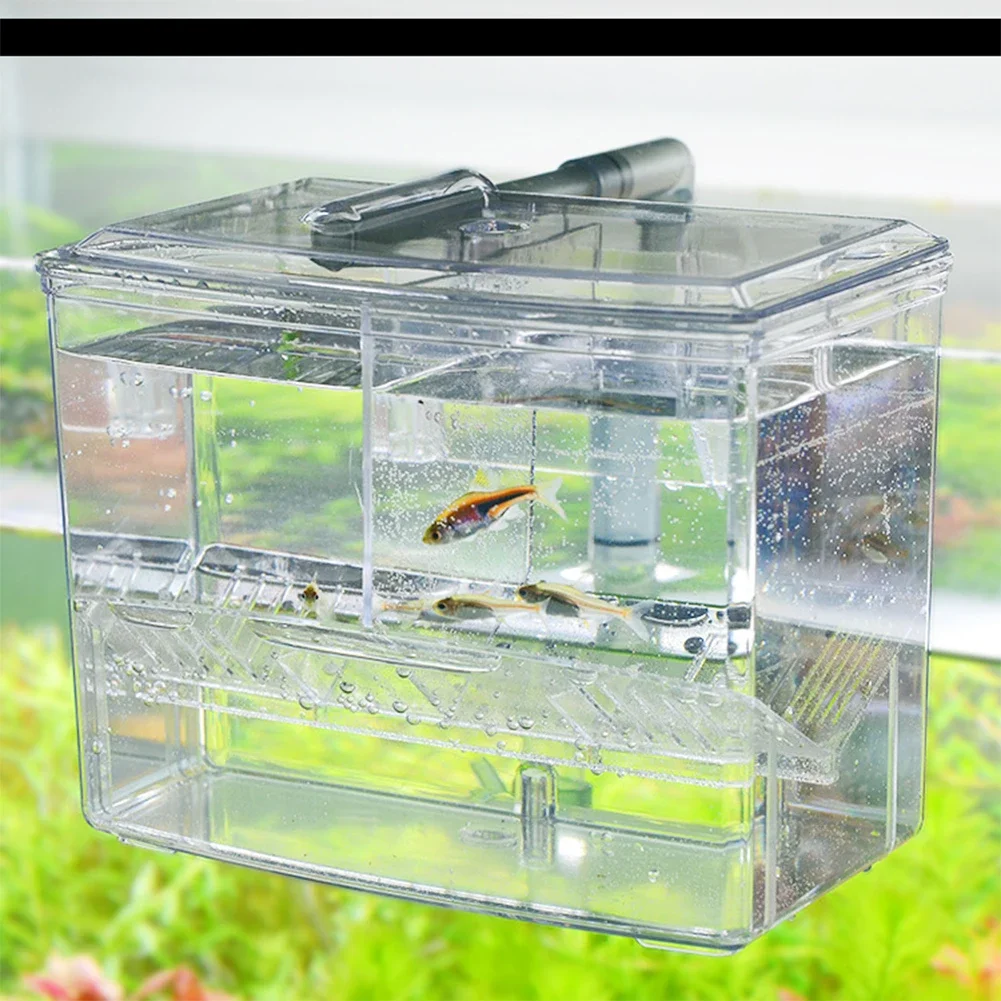 Aquarium Fish Breeding Box for - Aquarium Fish Jar recensione e prezzo