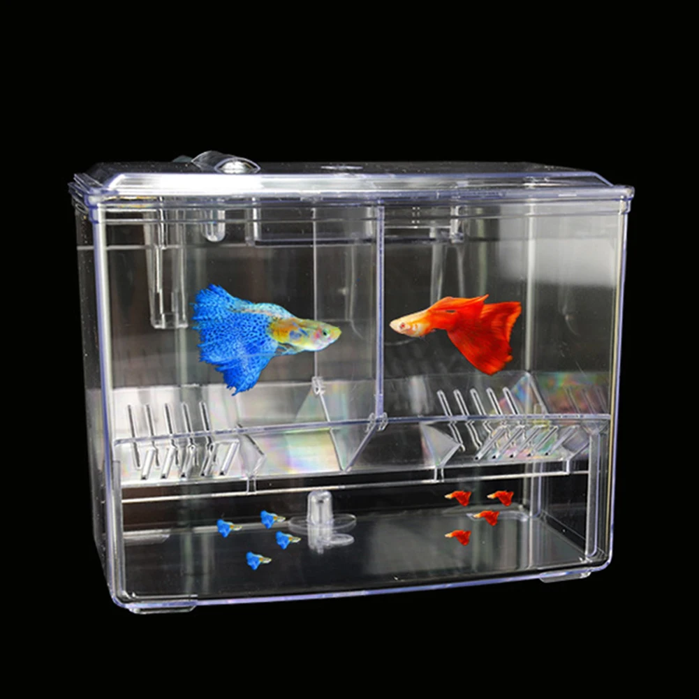 Aquarium Fish Breeding Box for - Aquarium Fish Jar recensione e prezzo