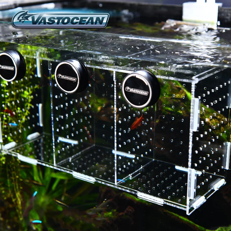 VASTOCEAN Fish Tank Magnetic C - Aquarium Fish Jar recensione e prezzo