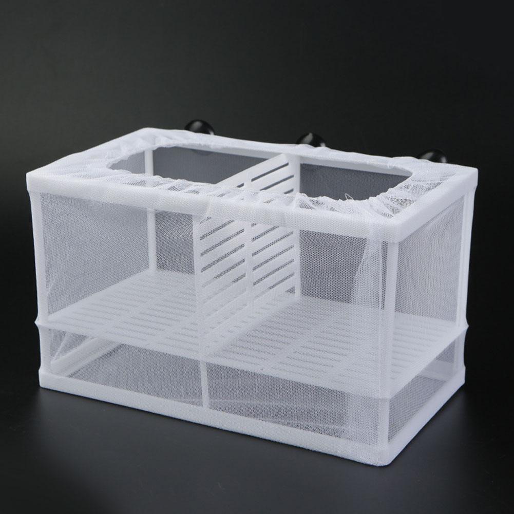 Aquarium Fish Breeder Box with - Aquarium Fish Jar recensione e prezzo