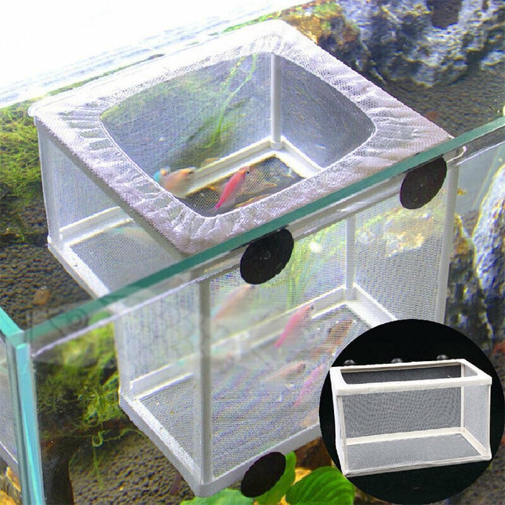 Aquarium Fish Breeder Box with - Aquarium Fish Jar recensione e prezzo