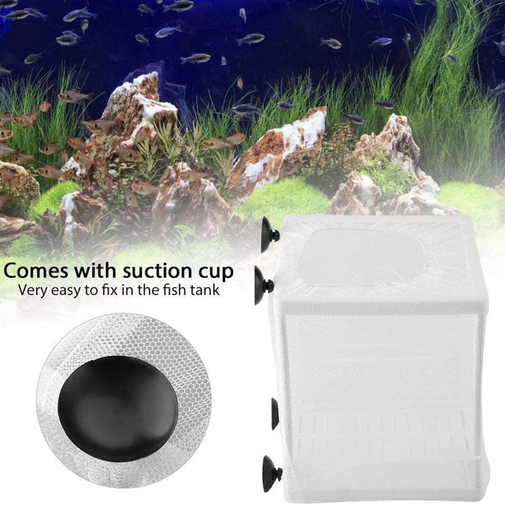 Aquarium Fish Breeder Box with - Aquarium Fish Jar recensione e prezzo