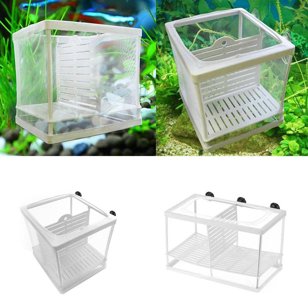 Aquarium Fish Breeder Box with - Aquarium Fish Jar recensione e prezzo