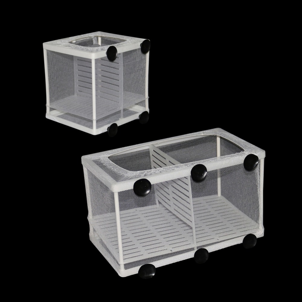 1 Pcs Fish Breeding Incubator  - Aquarium Fish Jar recensione e prezzo