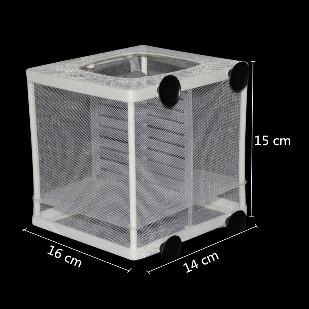 1 Pcs Fish Breeding Incubator  - Aquarium Fish Jar recensione e prezzo