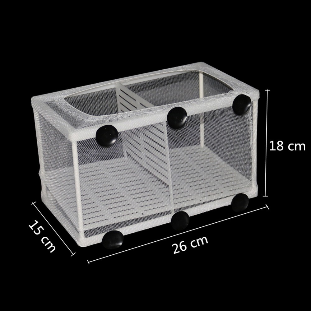1 Pcs Fish Breeding Incubator  - Aquarium Fish Jar recensione e prezzo