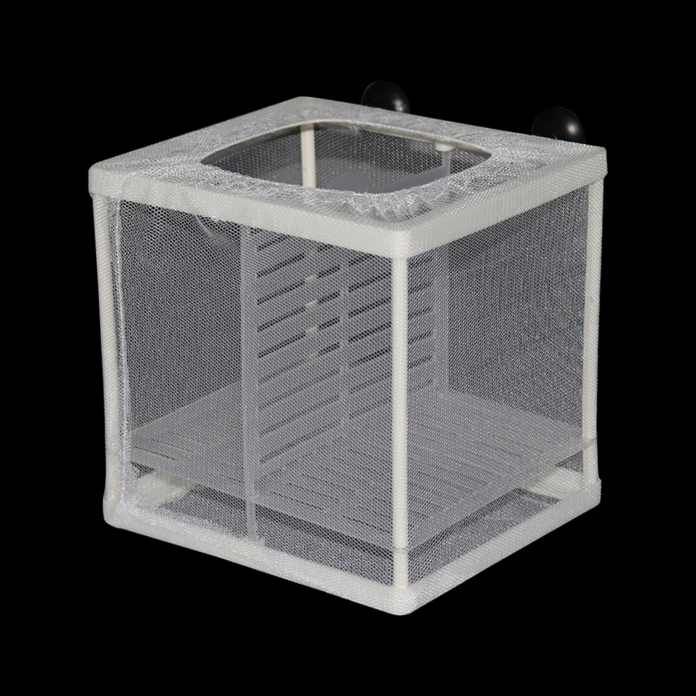 1 Pcs Fish Breeding Incubator  - Aquarium Fish Jar recensione e prezzo
