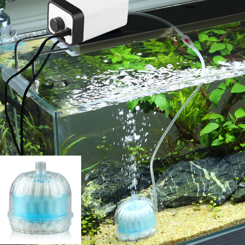 Mini Aquarium Spong Filter Air - Aquarium Fish Jar recensione e prezzo
