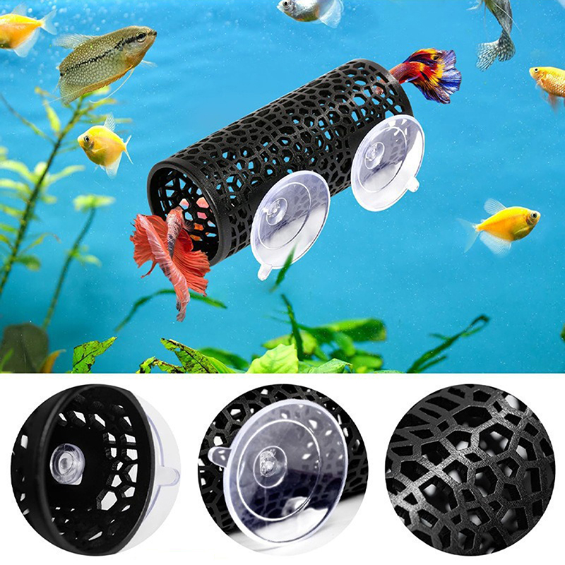 Innovative Betta Relaxation Tu - Fish Aquarium Youtube Relaxing recensione e prezzo