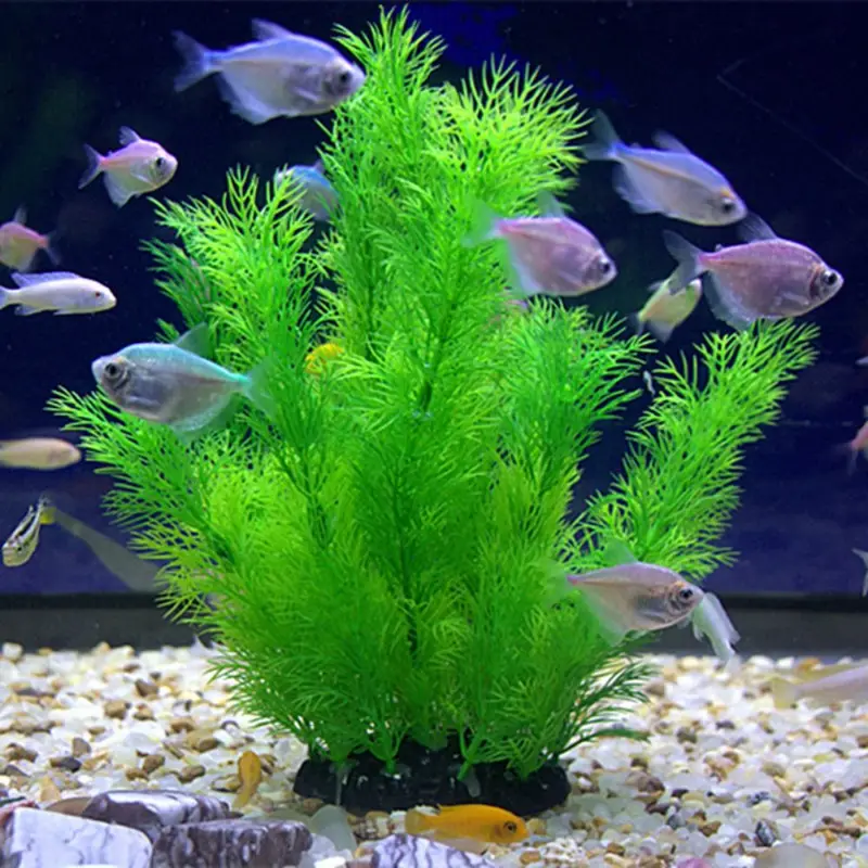 Artificial Aquarium Decor Plan - Aquarium Fish Poster recensione e prezzo
