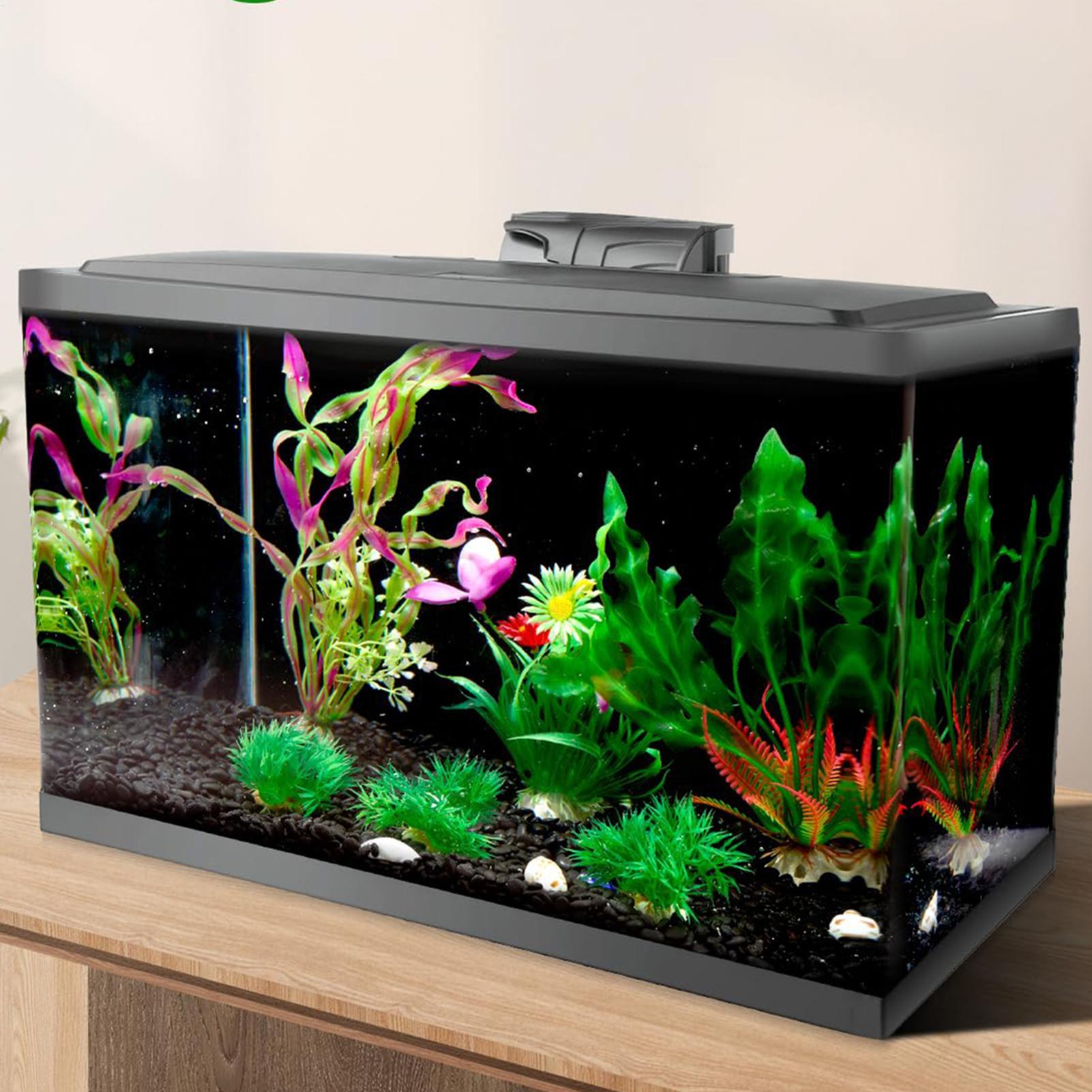 Fish Tank Background Static Cl - Aquarium Fish Poster recensione e prezzo