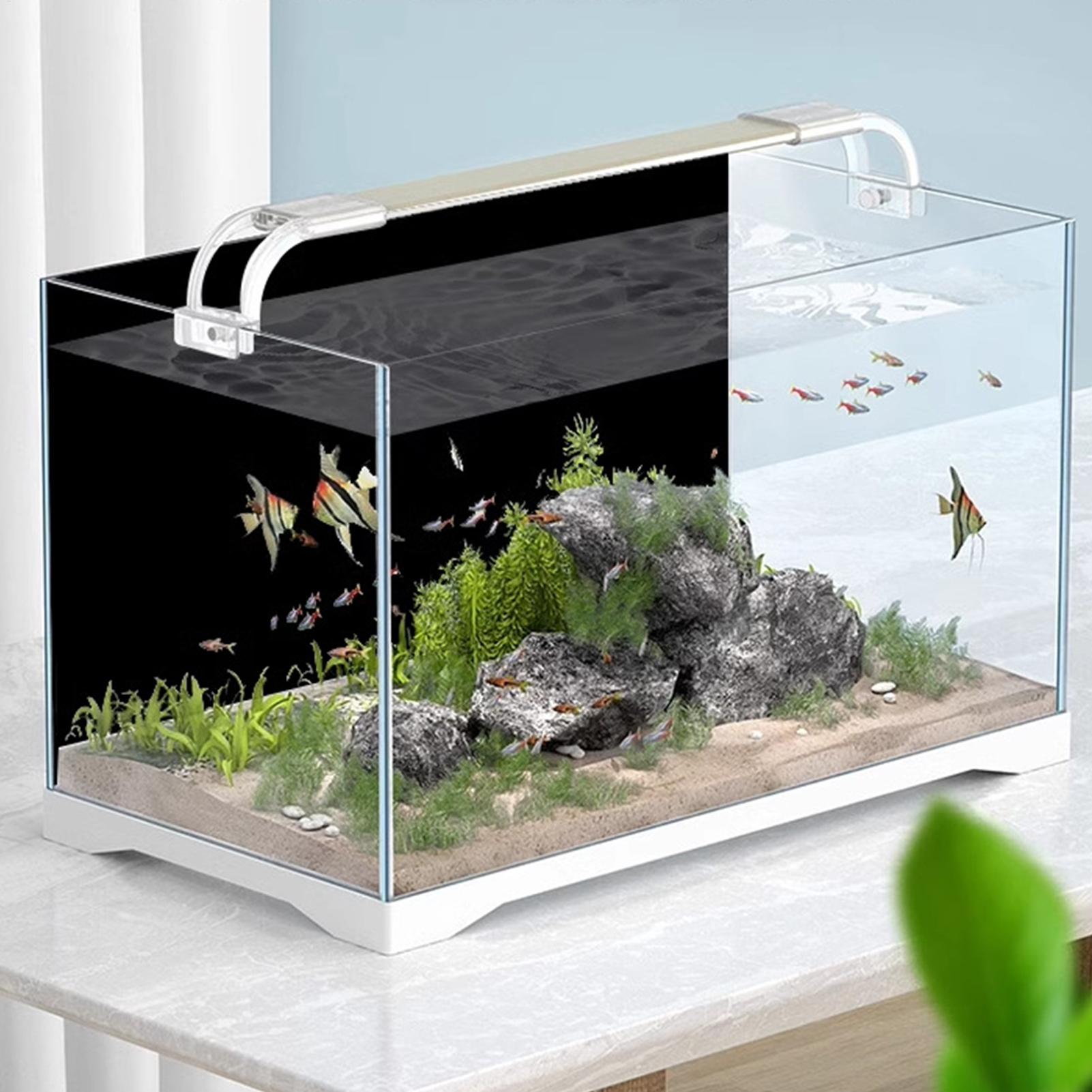 Fish Tank Background Static Cl - Aquarium Fish Poster recensione e prezzo