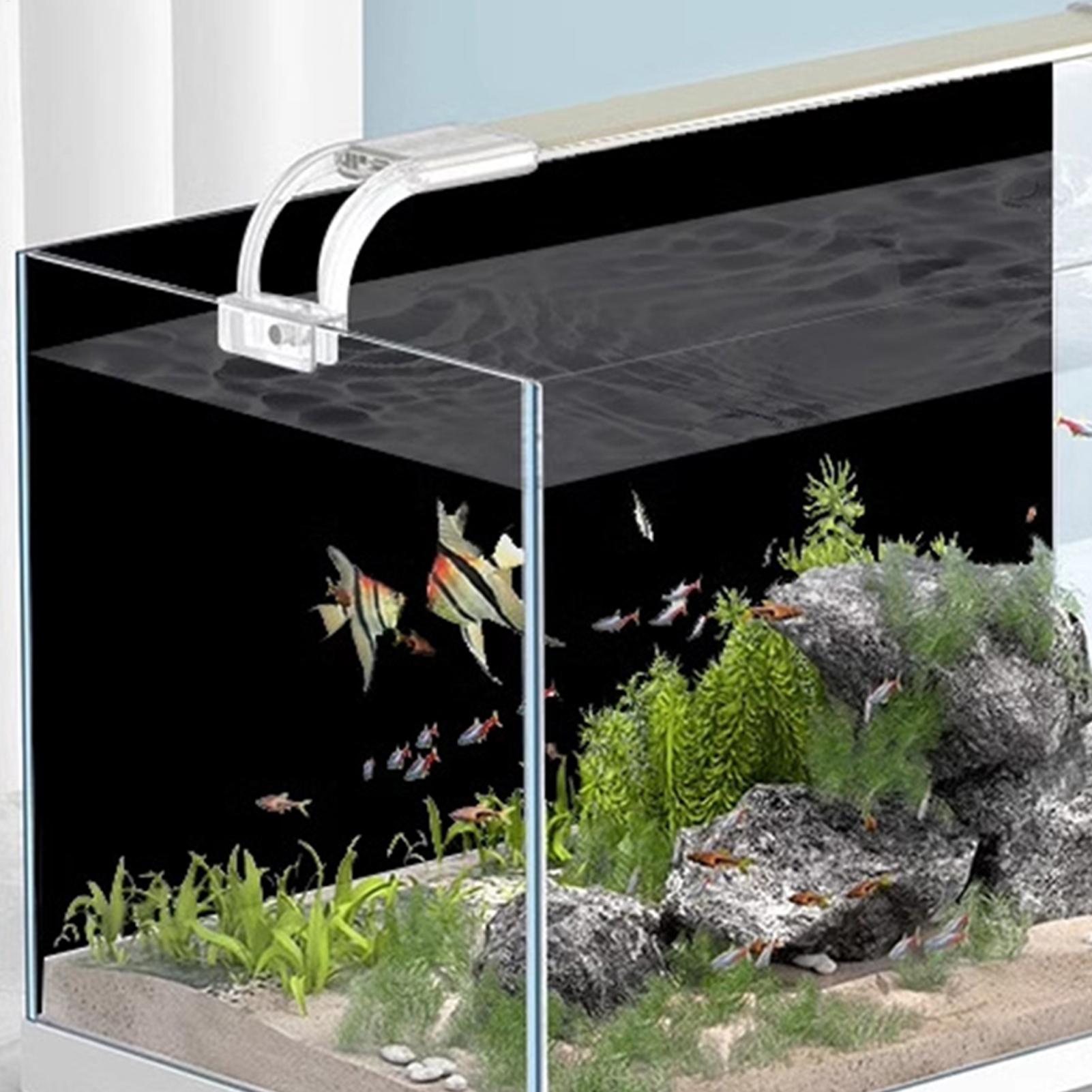 Fish Tank Background Static Cl - Aquarium Fish Poster recensione e prezzo