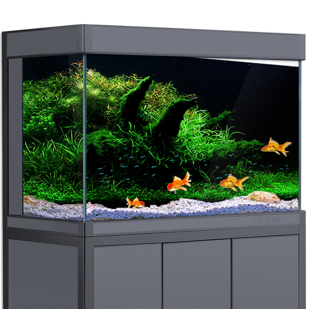 Aquarium Background Fish Tank  - Aquarium Fish Poster recensione e prezzo
