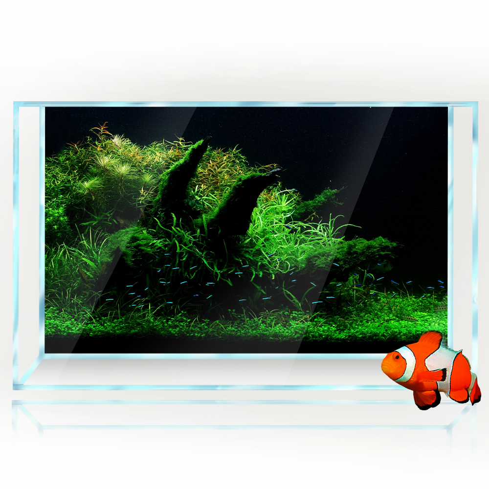 Aquarium Background Fish Tank  - Aquarium Fish Poster recensione e prezzo