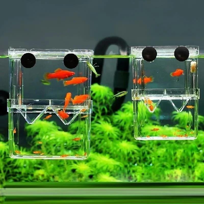 Transparent Fish Aquarium High - Aquarium Fish Jar recensione e prezzo