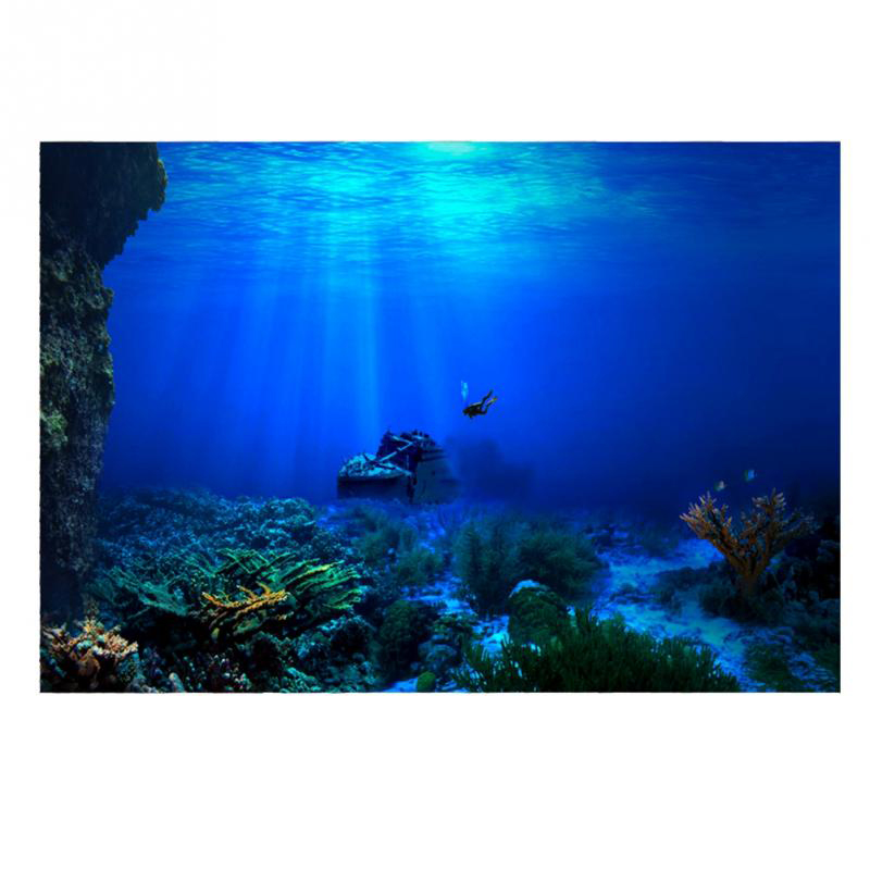 1Pcs Fish Tank Background Deco - Aquarium Fish Poster recensione e prezzo