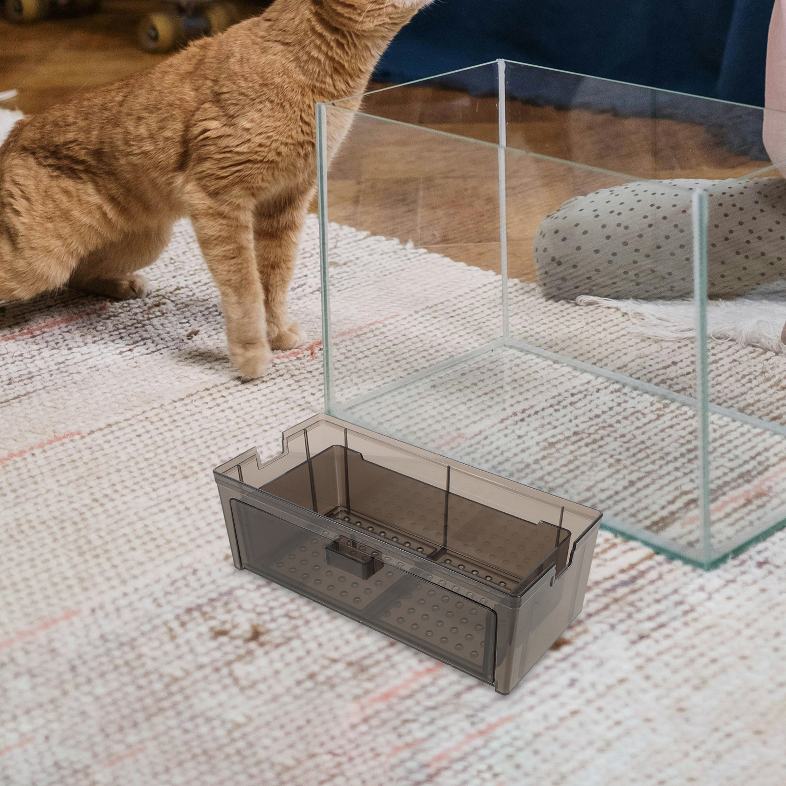 Fish Tank Filter Box Transpare - Cleaner Fish Aquarium recensione e prezzo