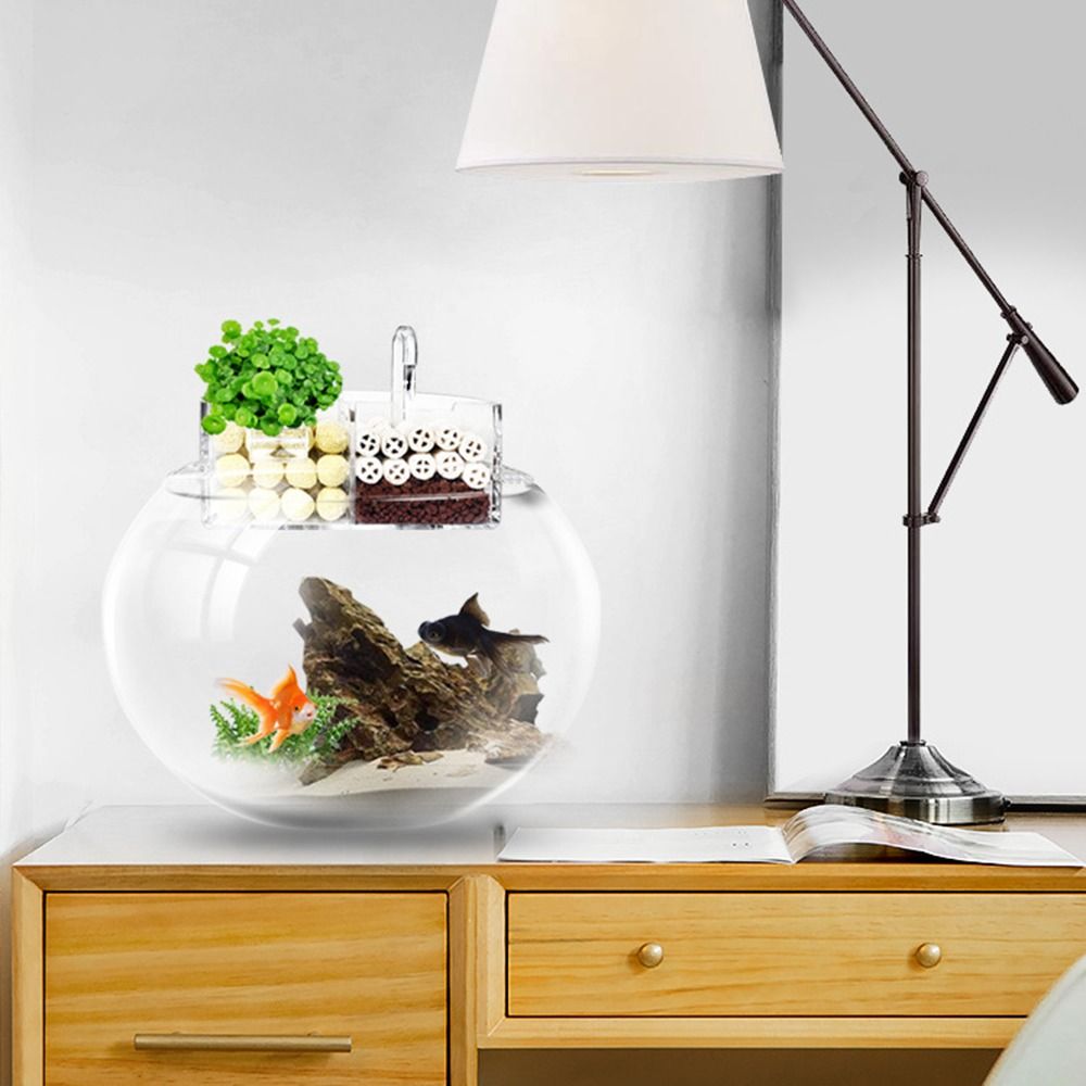 3-in-1 External Filter Box Han - Aquarium Fish Jar recensione e prezzo