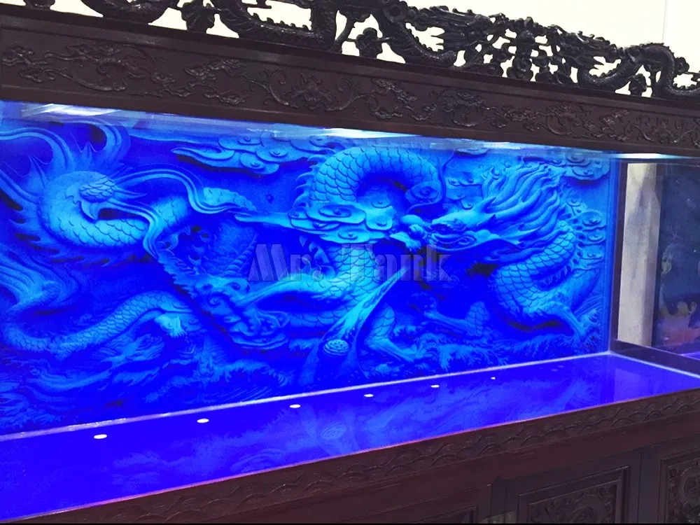 Custom Size Aquarium Backgroun - Aquarium Fish Poster recensione e prezzo