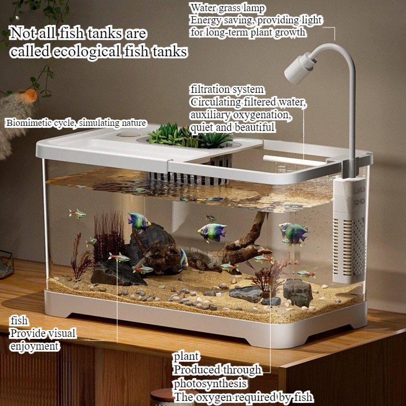Fish tank household aquarium l - Aquarium Fish Jar recensione e prezzo