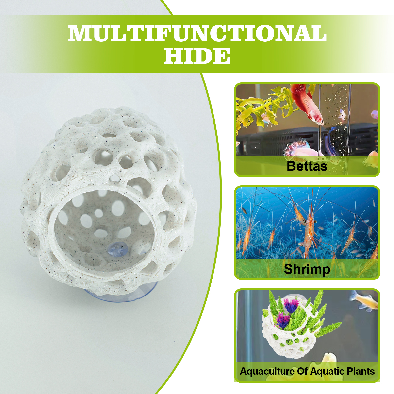 Shrimp Hides for Aquarium, Bet - Aquarium Fish Poster recensione e prezzo