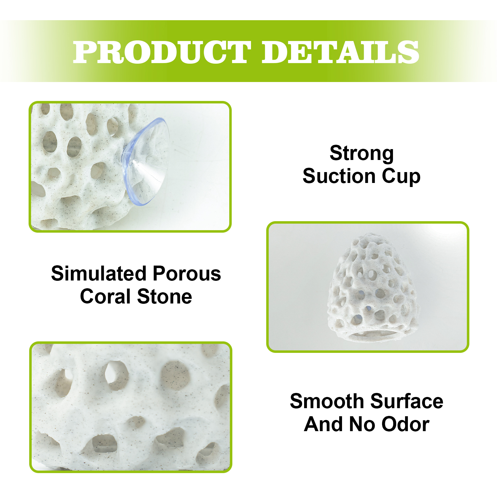 Shrimp Hides for Aquarium, Bet - Aquarium Fish Poster recensione e prezzo