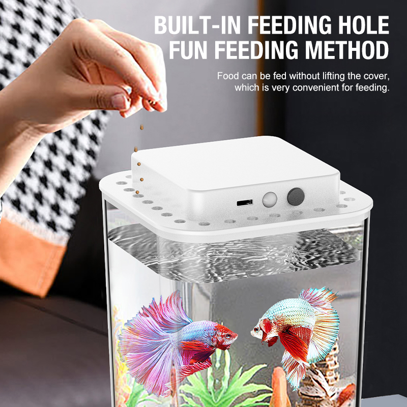 Desktop fish tank, new aquariu - Aquarium Fish Jar recensione e prezzo