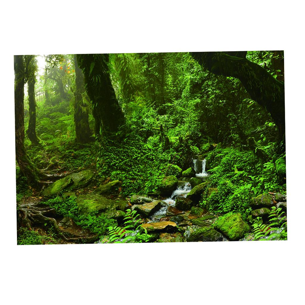 Aquarium Backdrop Poster Vivid - Aquarium Fish Poster recensione e prezzo