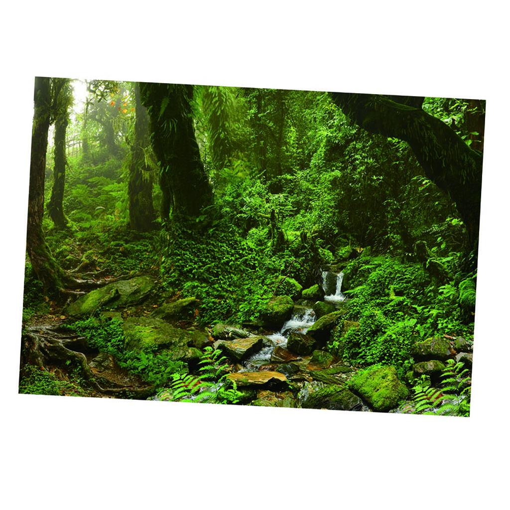 Aquarium Backdrop Poster Vivid - Aquarium Fish Poster recensione e prezzo