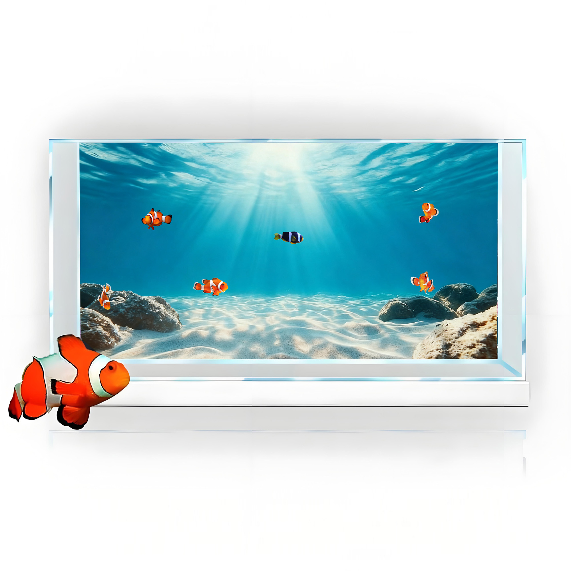 Blue sea clear sand，Fish tank  - Aquarium Fish Poster recensione e prezzo
