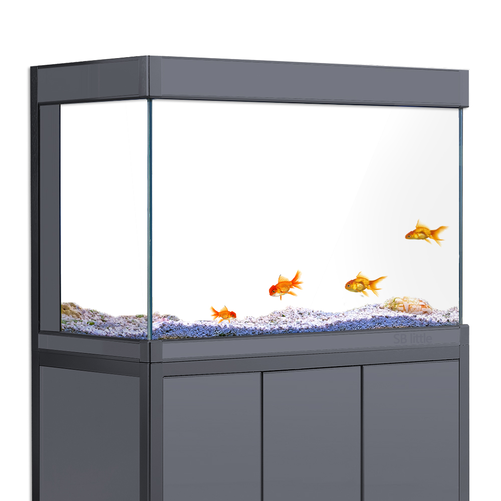 Aquarium Background Static Cli - Aquarium Fish Poster recensione e prezzo