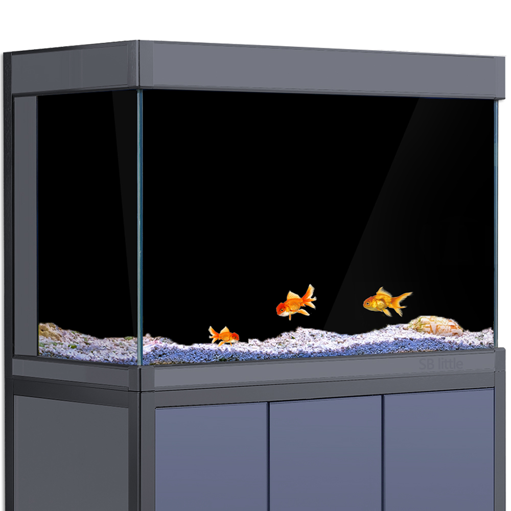 Aquarium Background Static Cli - Aquarium Fish Poster recensione e prezzo