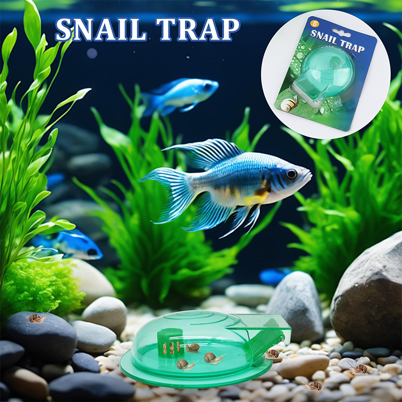 Aquarium Snail Trap, Plastic S - Aquarium Fish Jar recensione e prezzo