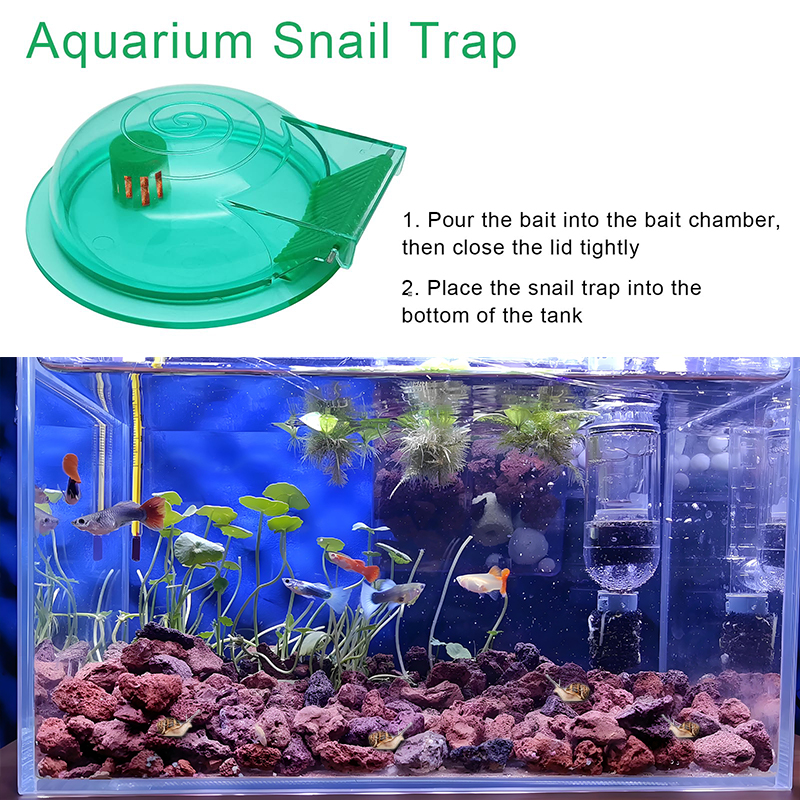Aquarium Snail Trap, Plastic S - Aquarium Fish Jar recensione e prezzo