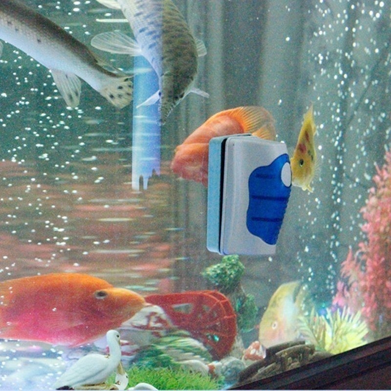 Fish Tank Glass Scraper Cleane - Gravel Vacuum Cleaner recensione e prezzo