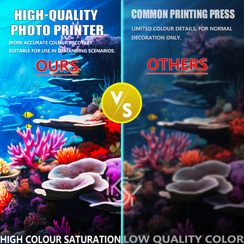Thick Self-Adhesive Aquarium B - Aquarium Fish Poster recensione e prezzo