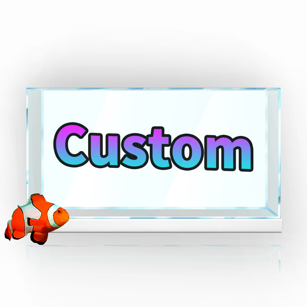 Large Size Aquarium Background - Aquarium Fish Poster recensione e prezzo