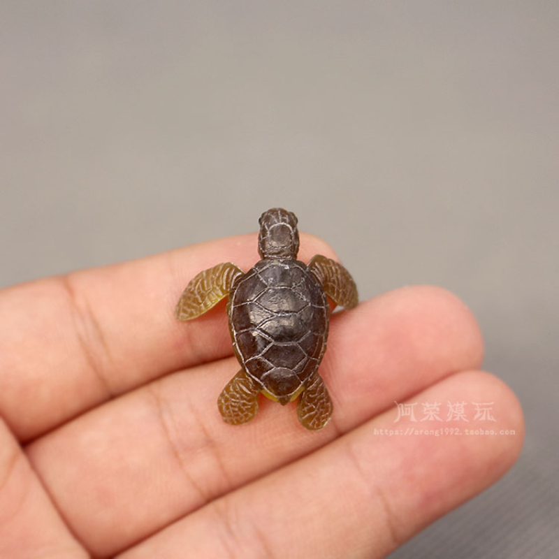 Marine Life Sea Turtle Model O - Aquarium Fish Japan recensione e prezzo