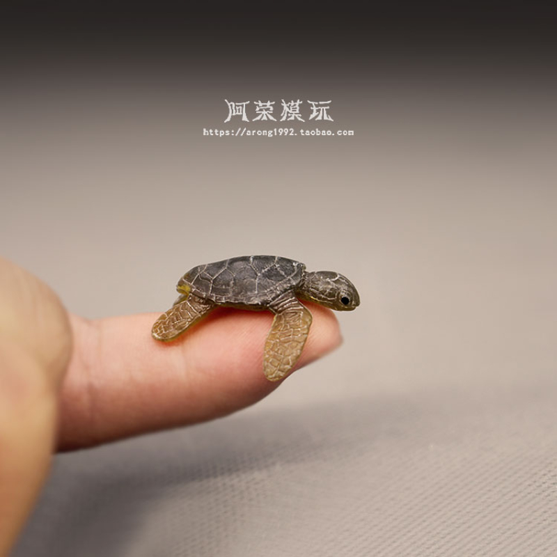 Marine Life Sea Turtle Model O - Aquarium Fish Japan recensione e prezzo