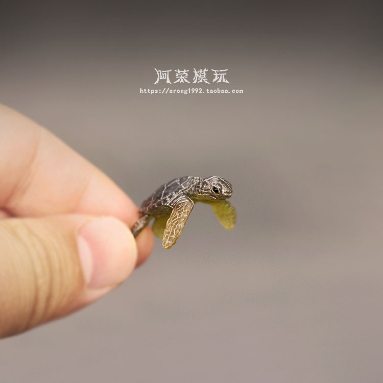 Marine Life Sea Turtle Model O - Aquarium Fish Japan recensione e prezzo