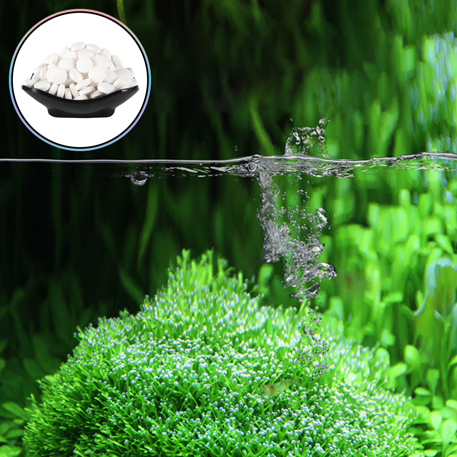 150 Tables Aquarium Algae Clea - Cleaner Fish Aquarium recensione e prezzo