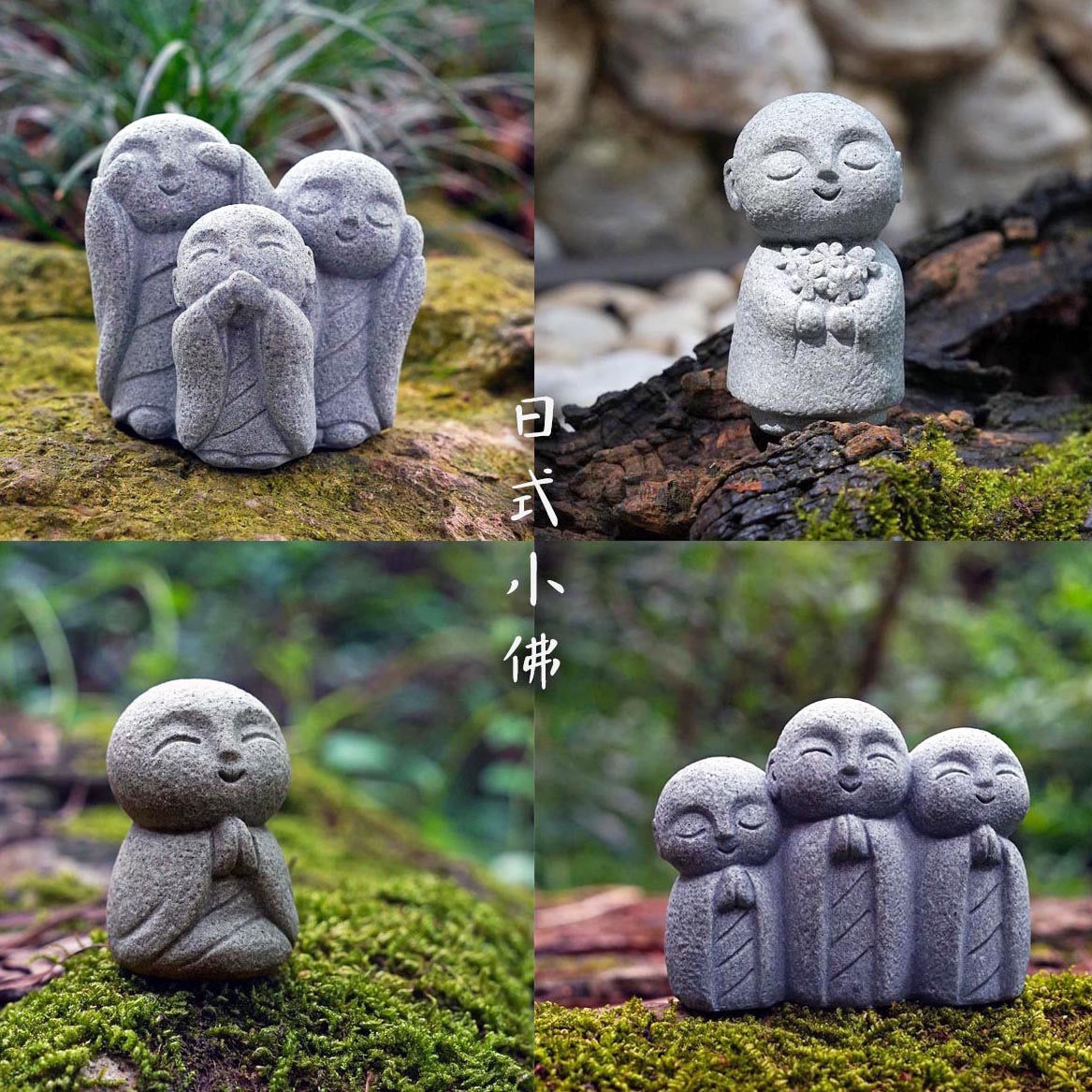 Cute Japanese Monk Kyoto Prefe - Aquarium Fish Japan recensione e prezzo