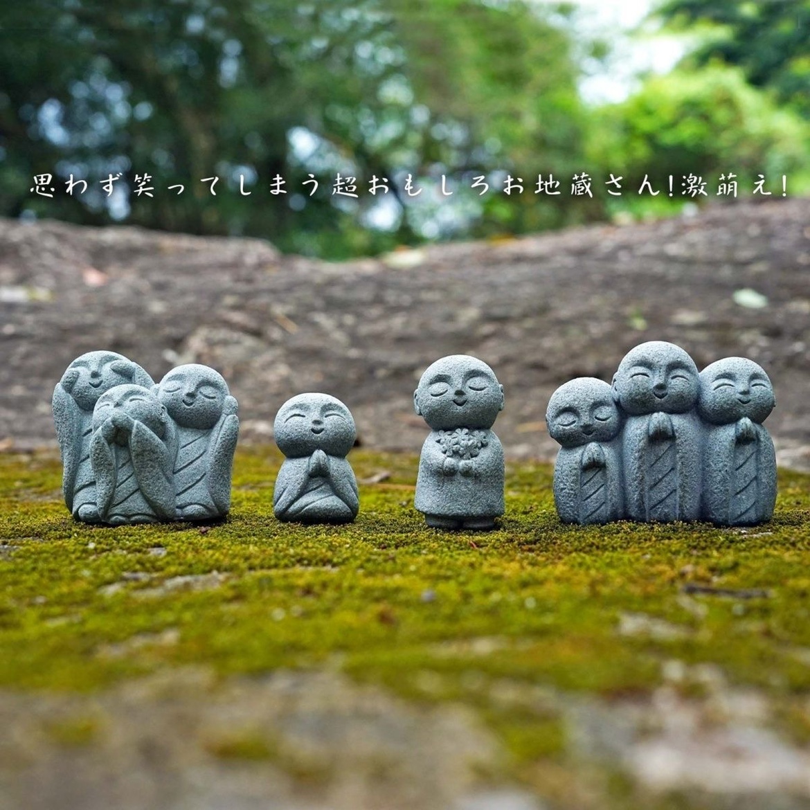 Cute Japanese Monk Kyoto Prefe - Aquarium Fish Japan recensione e prezzo