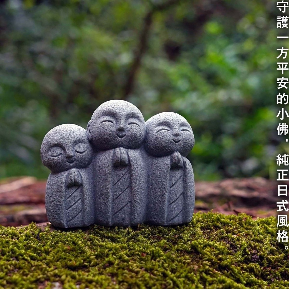 Cute Japanese Monk Kyoto Prefe - Aquarium Fish Japan recensione e prezzo