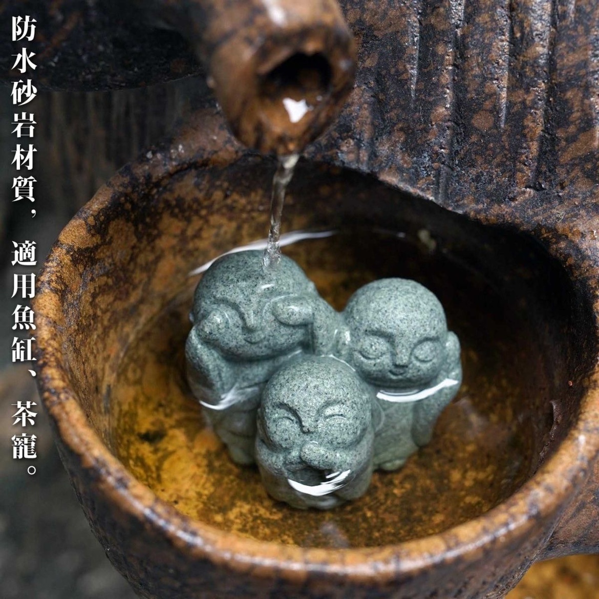 Cute Japanese Monk Kyoto Prefe - Aquarium Fish Japan recensione e prezzo