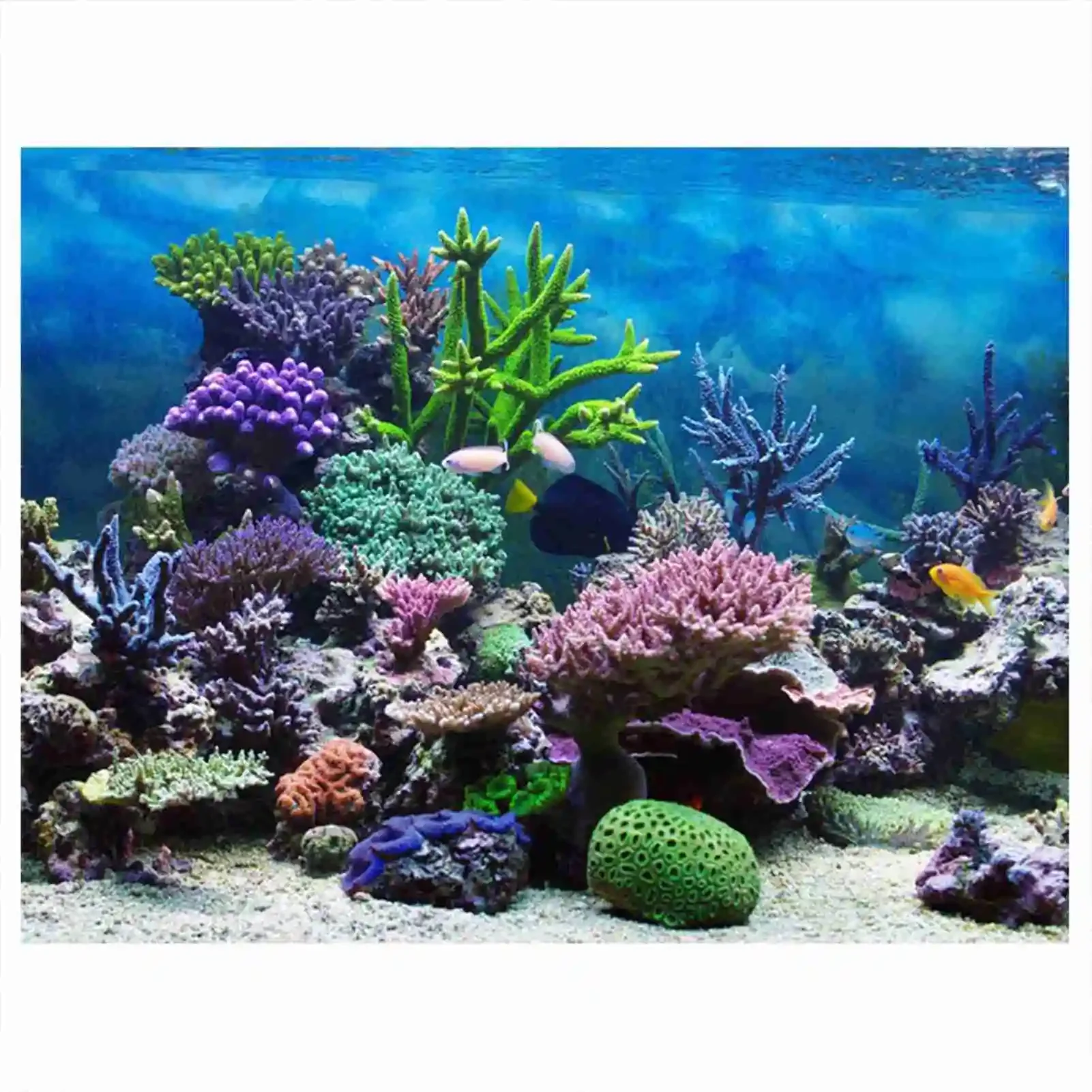 3D Aquarium Landscape Poster R - Aquarium Fish Poster recensione e prezzo